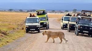 Budget Safari in Tsavo East and West